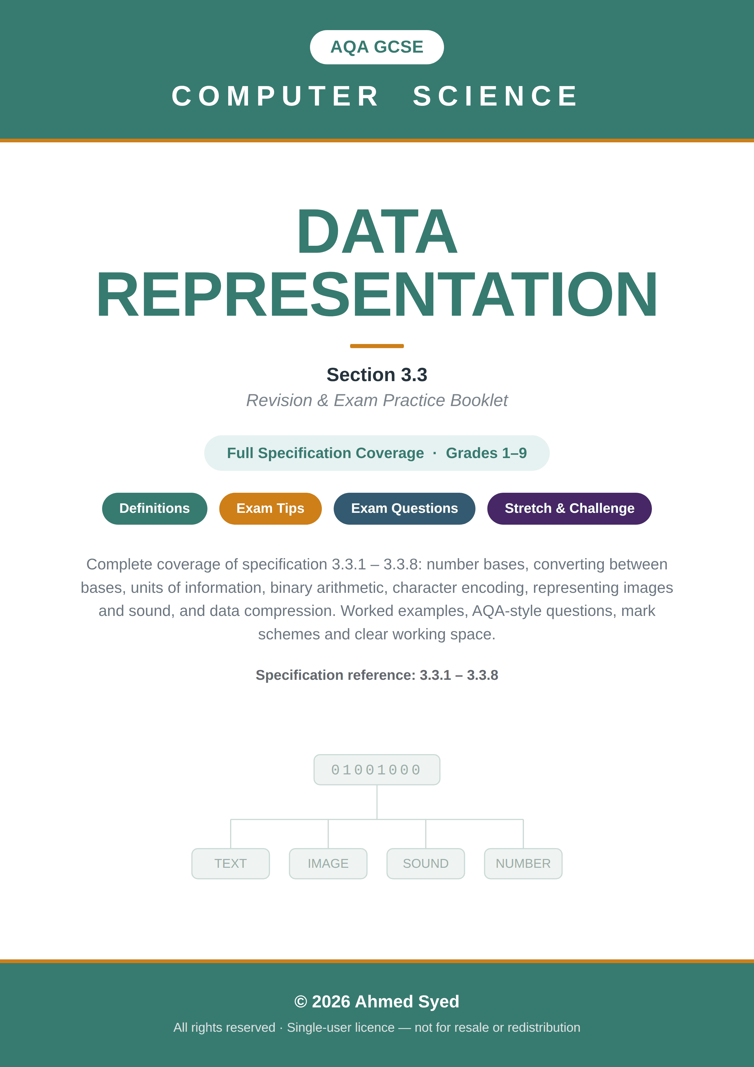 AQA GCSE 3.3 Data Representation cover preview
